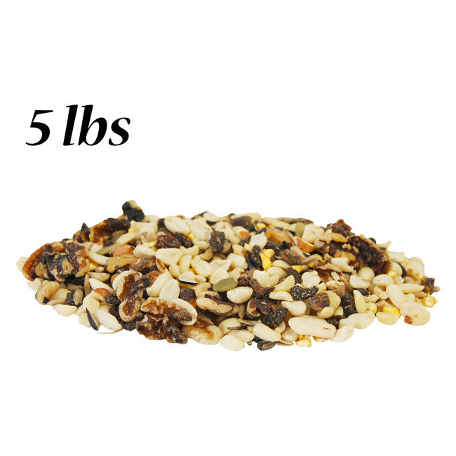 The 'Countryside Bed & Breakfast' Squirrel Habitat Matched Set | Esschert Design Squirrel House, Feeder, Nesting Chips & Premium Seed Blend