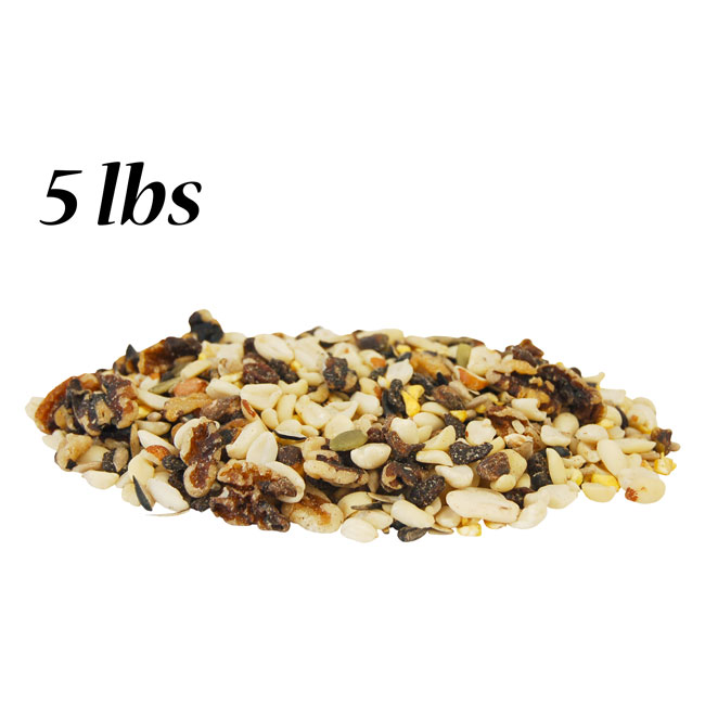 The 'Eat & Retreat' Squirrel Habitat Matched Set | Wood Squirrel House, Cedar Feeder, Nesting Chips & Premium Seed Blend