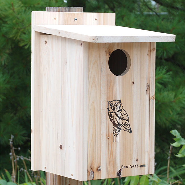 The 'Hootel' Screech Owl & Kestrel House | BestNest Premium Wooden Owl Nesting Box