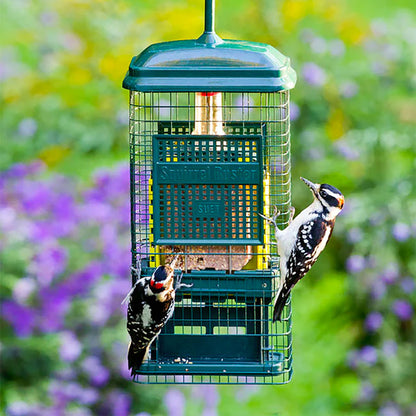The 'No Suet For You!' Squirrel-Proof Suet Feeder Set
