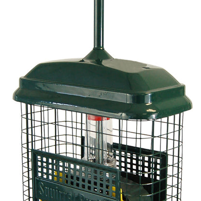 The 'No Suet For You!' Squirrel-Proof Suet Feeder Set