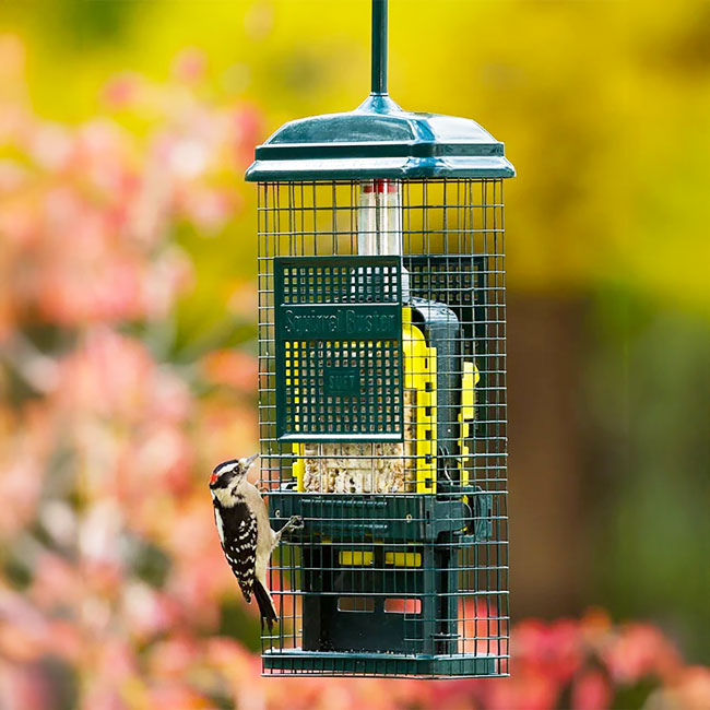 The 'No Suet For You!' Squirrel-Proof Suet Feeder Set