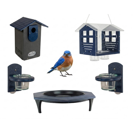 Cerulean Sanctuary Bluebird bundle kit. Show all contents of set (Bluebird not included).