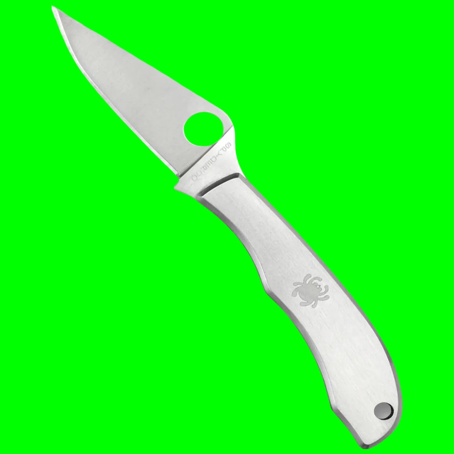 Spyderco Honeybee™ Stainless Folding Knife | C137P | 3Cr13 Steel | Stainless Handle | Keychain & Gift Instrument