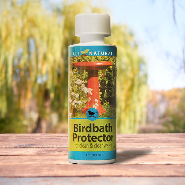 The 'Ironclad' Heated Atmospheric Station | All-Season Avian Hydration System