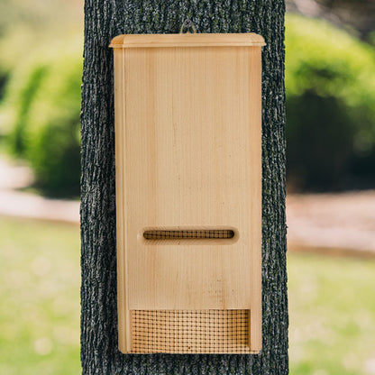 The "Bat"chelor Pad Bat House Sanctuary | Boreas-30 Single-Chamber Roost Bat Box | Coveside Conservation