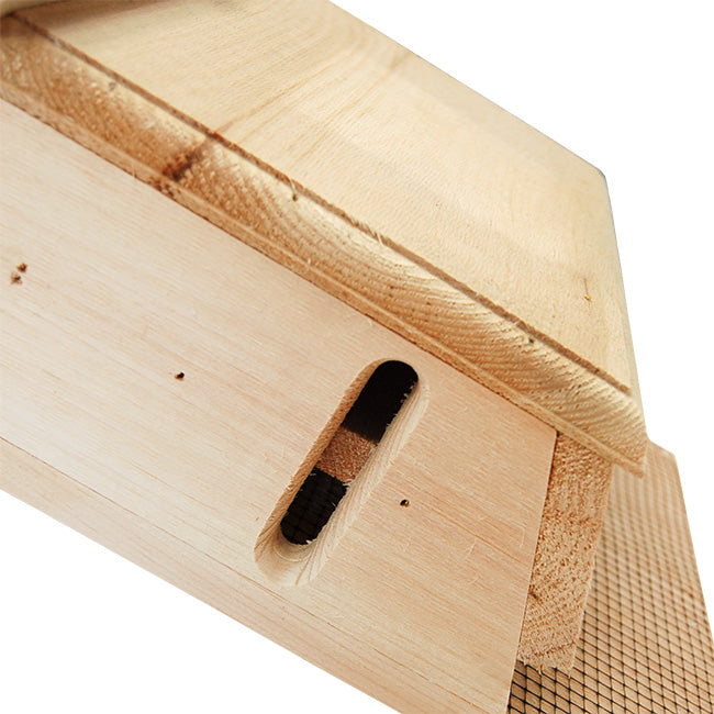 The "Sovereign-100" Bat House Conservation Bundle | Dual-Chamber Nursery Habitat Bat Box | Coveside Conservation