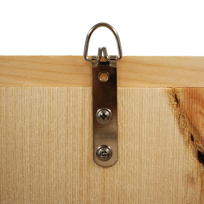 The "Sovereign-100" Bat House Conservation Bundle | Dual-Chamber Nursery Habitat Bat Box | Coveside Conservation