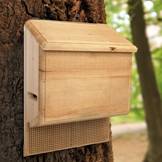 The "Sovereign-100" Bat House Conservation Bundle | Dual-Chamber Nursery Habitat Bat Box | Coveside Conservation