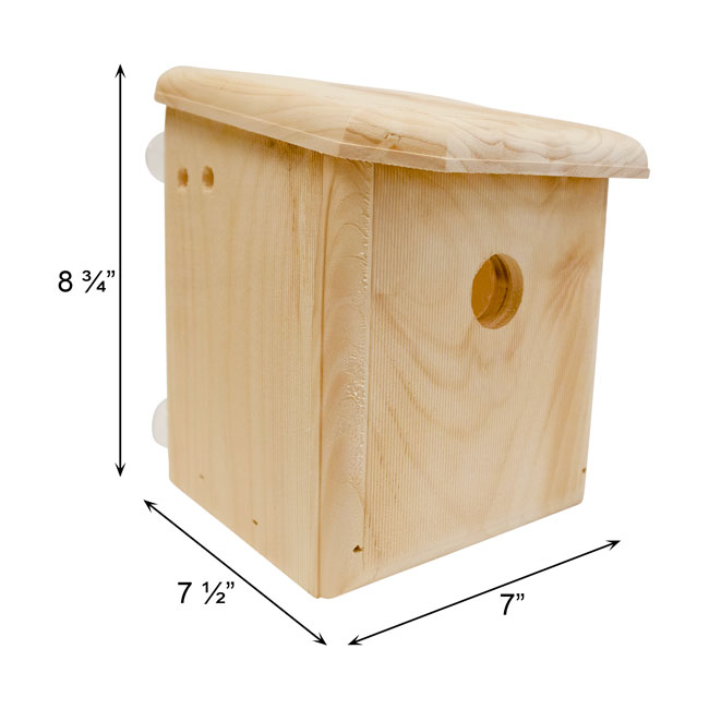 The "Vantage-Window" Window Bird House | Clear View Nesting Box | Coveside Conservation