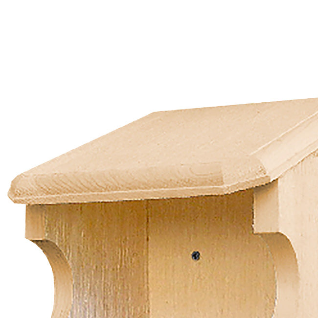 The 'Forager's Bluff' Nest & Feeder Package