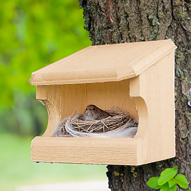 The 'Forager's Bluff' Nest & Feeder Package