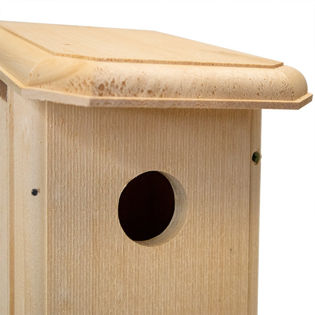 The 'SWAT Team' Cavity Nester House & Feeder Kit