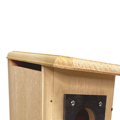 The 'Carpenter's Quarters' Woodpecker Feeding & Nesting Kit