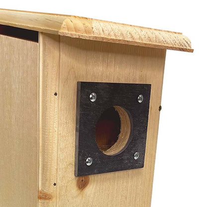 The 'Carpenter's Quarters' Woodpecker Feeding & Nesting Kit