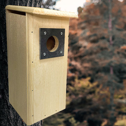 The 'Carpenter's Quarters' Woodpecker Feeding & Nesting Kit