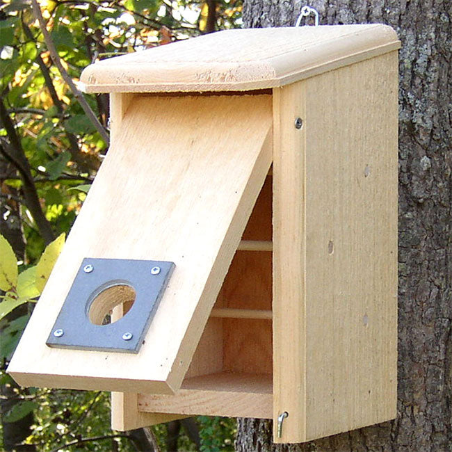 The 'Four Seasons' Bluebird Roost