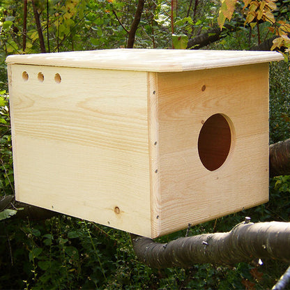 Coveside "Farmland Sentinel" Barn Owl House – Artisan White Pine