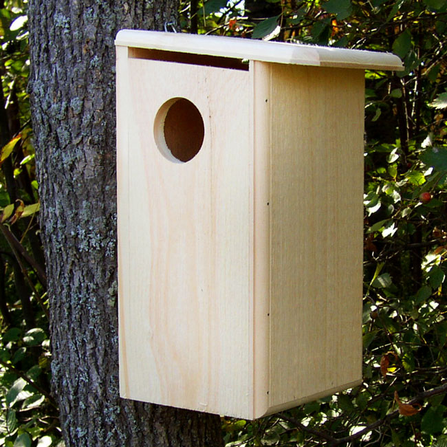 The 'Acorn Abode' Squirrel House | Coveside Conservation Pine Squirrel Nest Box