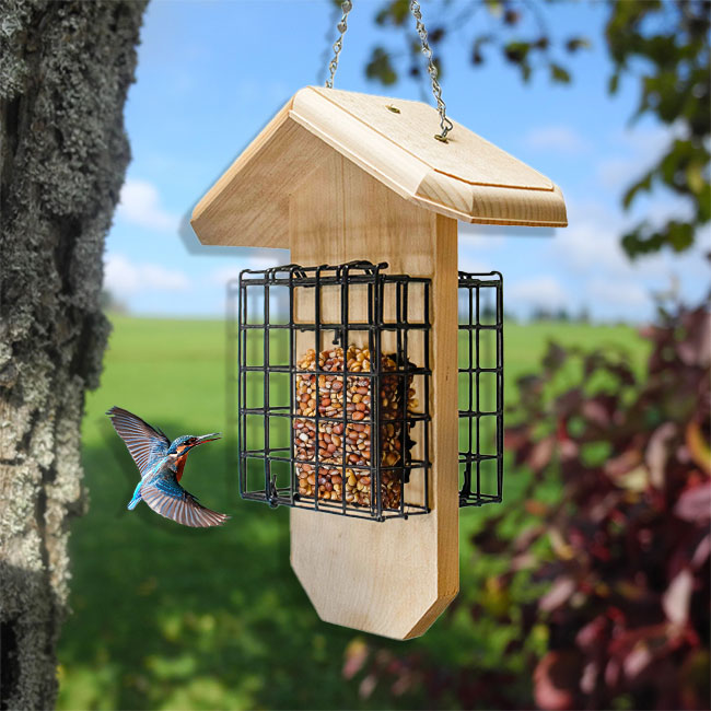 The 'Carpenter's Quarters' Woodpecker Feeding & Nesting Kit