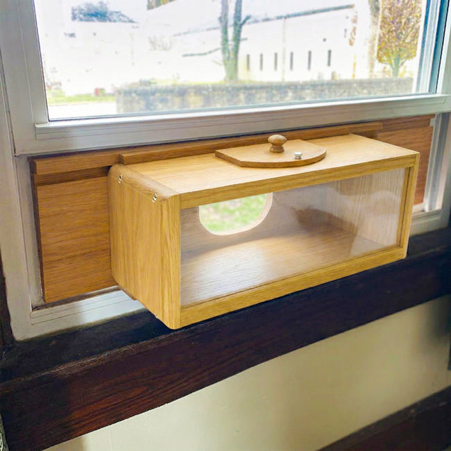The "Good Birder" Fast Food Window Bird Feeder