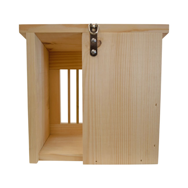 The 'Squirrel Slammer' Feeder | Coveside Conservation Eastern White Pine Squirrel Jail Feeder