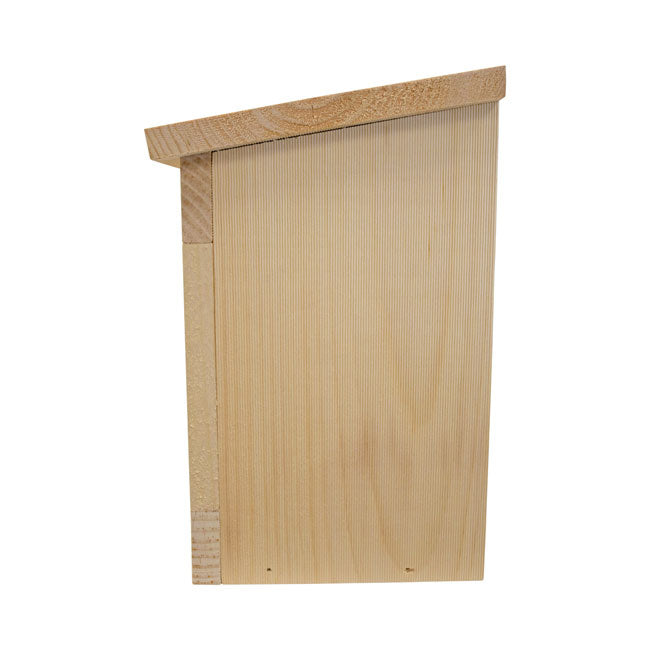 The 'Squirrel Slammer' Feeder | Coveside Conservation Eastern White Pine Squirrel Jail Feeder