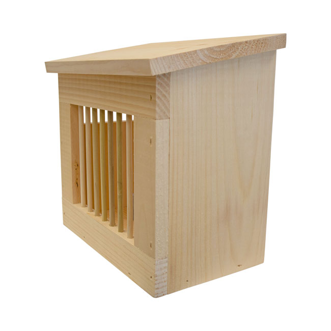 The 'Squirrel Slammer' Feeder | Coveside Conservation Eastern White Pine Squirrel Jail Feeder