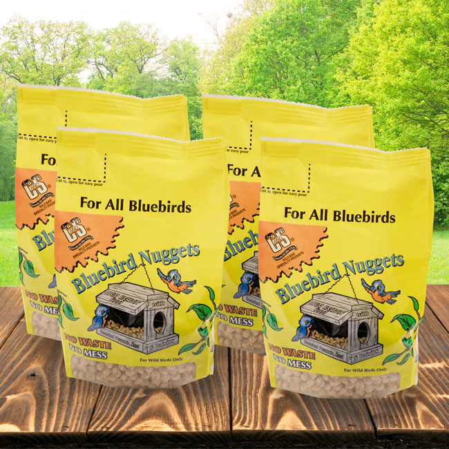 The 'Forager's Bluff' Nest & Feeder Package