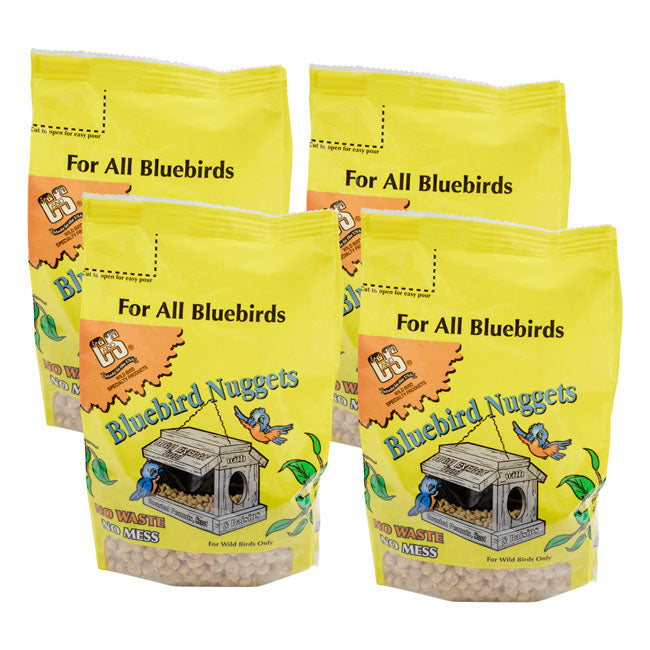 The 'Forager's Bluff' Nest & Feeder Package