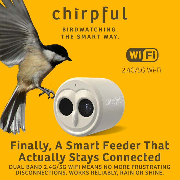 The 'VideOwl-4K' Smart Camera | Birds Choice Chirpful AI-Powered Wildlife Observer