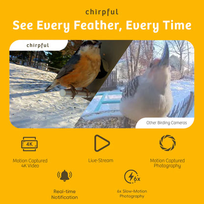 The 'VideOwl-4K' Smart Camera | Birds Choice Chirpful AI-Powered Wildlife Observer
