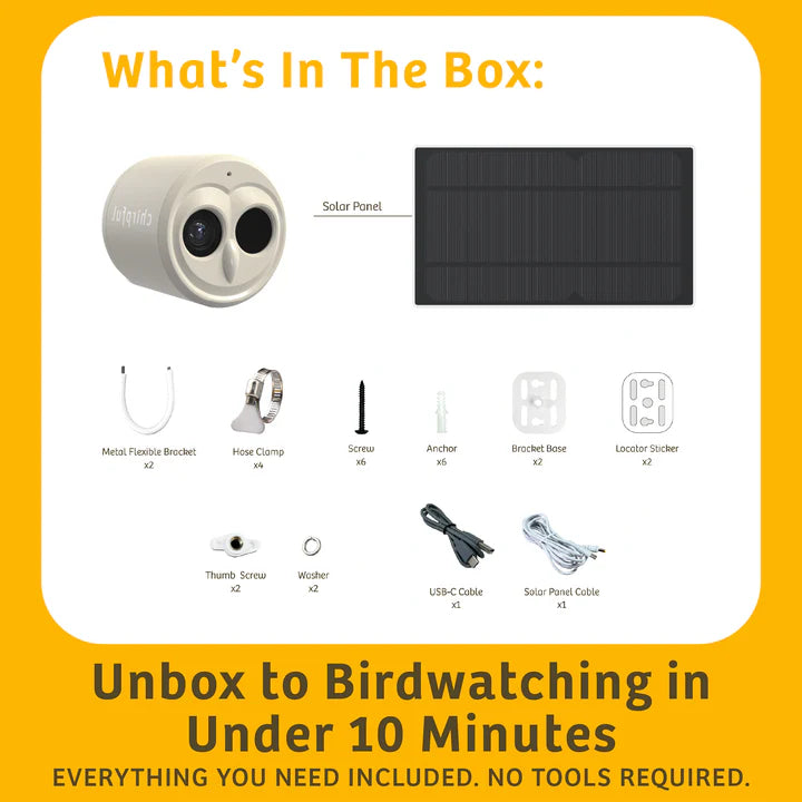 The 'VideOwl-4K' Smart Camera | Birds Choice Chirpful AI-Powered Wildlife Observer