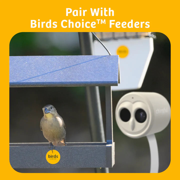 The 'VideOwl-4K' Smart Camera | Birds Choice Chirpful AI-Powered Wildlife Observer