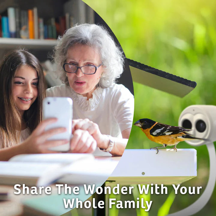 The 'VideOwl-4K' Smart Camera | Birds Choice Chirpful AI-Powered Wildlife Observer