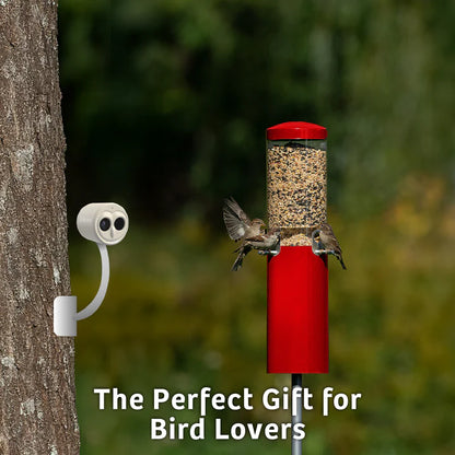 The 'VideOwl-4K' Smart Camera | Birds Choice Chirpful AI-Powered Wildlife Observer