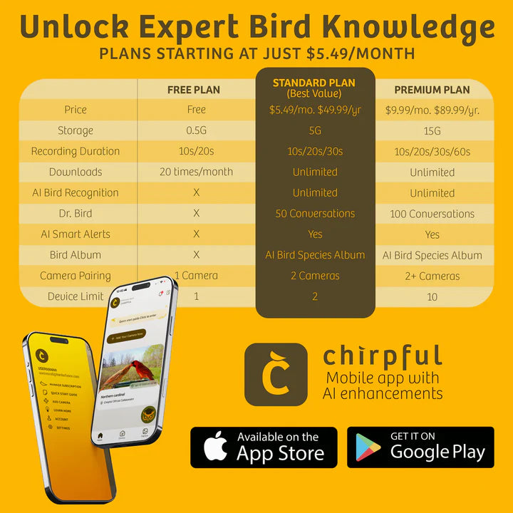 The 'VideOwl-4K' Smart Camera | Birds Choice Chirpful AI-Powered Wildlife Observer