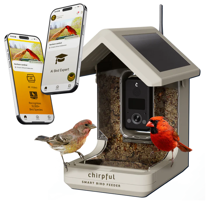 The 'Apex-4K' Smart Feeder | Birds Choice Chirpful AI-Powered Camera Bird Box