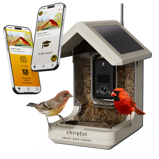 The 'Apex-4K' Smart Feeder | Birds Choice Chirpful AI-Powered Camera Bird Box