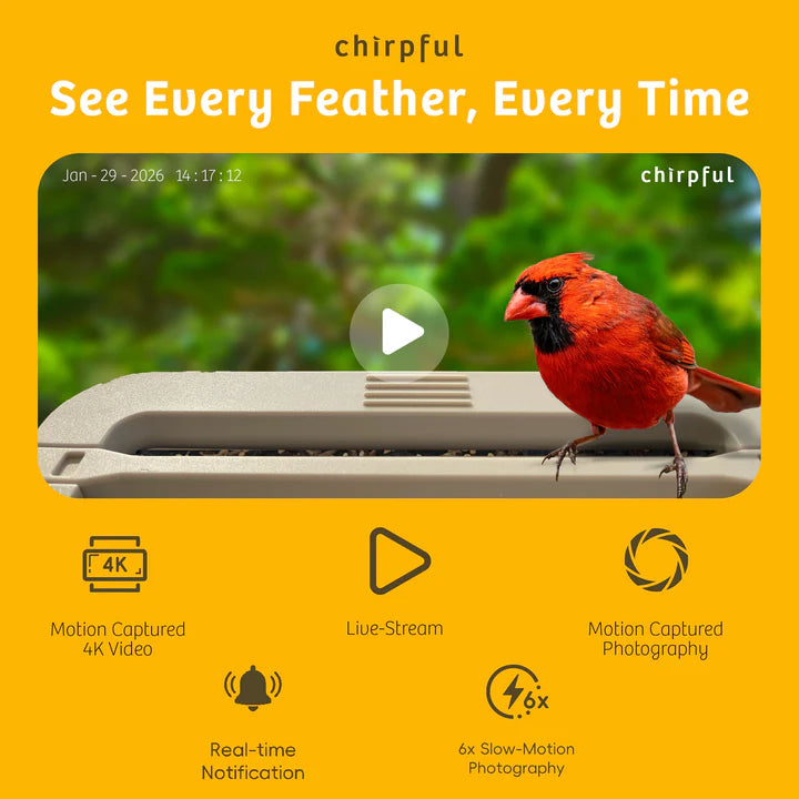 The 'Apex-4K' Smart Feeder | Birds Choice Chirpful AI-Powered Camera Bird Box