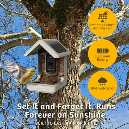 The 'Apex-4K' Smart Feeder | Birds Choice Chirpful AI-Powered Camera Bird Box
