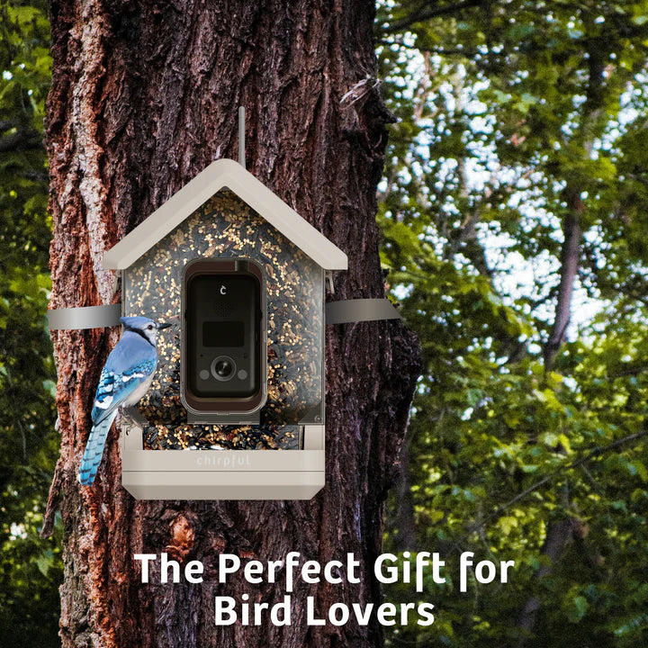 The 'Apex-4K' Smart Feeder | Birds Choice Chirpful AI-Powered Camera Bird Box