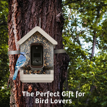 The 'Apex-4K' Smart Feeder | Birds Choice Chirpful AI-Powered Camera Bird Box