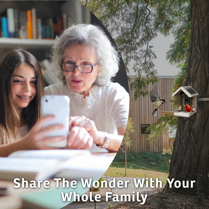 The 'Apex-4K' Smart Feeder | Birds Choice Chirpful AI-Powered Camera Bird Box