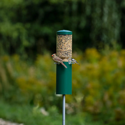 The 'Seed Sentinel' Squirrel-Proof Pole Bird Feeder