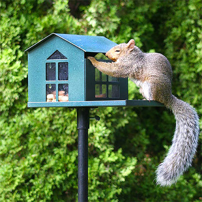 The 'Shell Shack' Squirrel Feeder | Erva Tool & Die USA-Made Steel Squirrel Feeder with Viewing Window