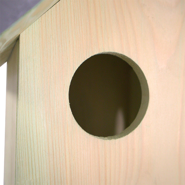 The 'Countryside Bed & Breakfast' Squirrel Habitat Matched Set | Esschert Design Squirrel House, Feeder, Nesting Chips & Premium Seed Blend