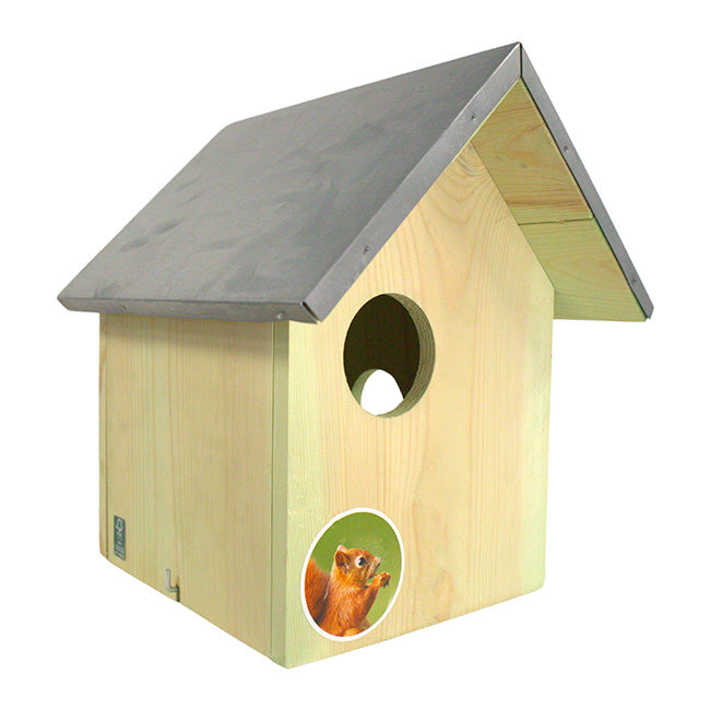 The 'Countryside Bed & Breakfast' Squirrel Habitat Matched Set | Esschert Design Squirrel House, Feeder, Nesting Chips & Premium Seed Blend