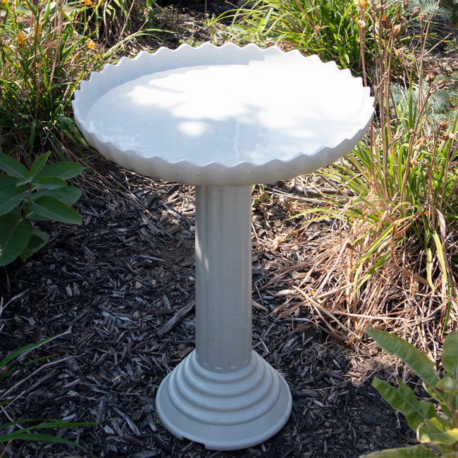 The 'Sky-Rise Spa' Heated Bird Bath & Pedestal | Farm Innovators Scalloped Heated Birdbath | Includes Cord!