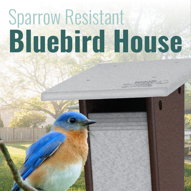 The ‘Bluebird Bunker’ Sparrow-Resistant Nesting Box